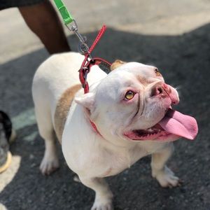 Meet your Posher, Lioryd